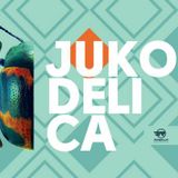 BREAKSAGE - Jukodelica preview mix