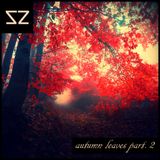 autumn leaves part.2