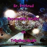 Dr. Psyhead Psychedelic Reality on TribalismoRadio March-16-2016