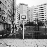 B-ball Vibes