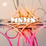A little part of MSMS