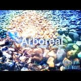 Arboreal Presents: Palm Oil #6