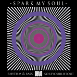 S P A R K . M Y . S O U L