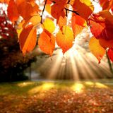 Best Of Fall 2015