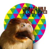 CABALLITO BAILA DE CHICO TROPICO/// PROMO MIXTAPE