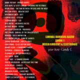 Limimal Borders Radio Show 1_ Mixed Electronic and Ambient
