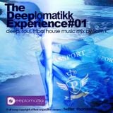 THE DEEPLOMATIKK EXPERIENCE MIXED BY SAM K
