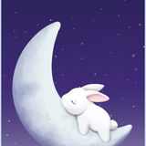 DrugsBunny - Sleep Well