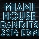 DJ CyBorg SanChez (MHB) - Miami House Bandits EDM (Electro Dance Mix)
