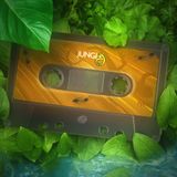 Junglist Renaissance (Side B) - March 2014 (Jungle, Rave & Tripstep)
