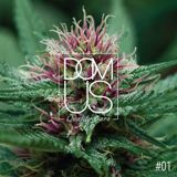 Mik Santoro - Domus Club Ibiza Podcast - 01
