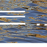 Waves From Nofuture