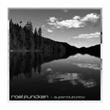 Roel Funcken _ Superfluid Flow