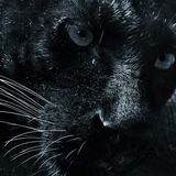 JNS aka Jimmy Tudeski - Jimmologia podcast 6.