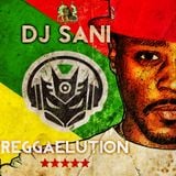 DJ SANI (SON OF IRIE FM'S MIGHTY) MIKE RELEASE "REGGAELUTION"