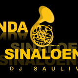 BANDA SINALOENSE MIX2014- DJSAULIVAN