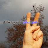 teshcast special ~ pride of gombe