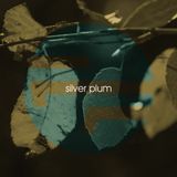 Silver Plum