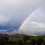 Shitty Summer Rainbow Bonanza (Soundtrack by Acid Barrett, Barton Funk & dj oscar)