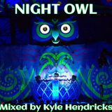 Night Owl - EDC Vegas 2013