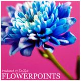 DJ KENTS - Flowerpoints EV 20140906