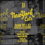 Juan Tellez - New York Cats - 3 May 2015