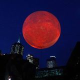 Night of The Half Moon