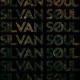 Silvan Soul 15