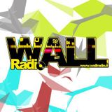 Wall radio - intervista a Sterfano Armani cancelliere civile di Tramontana internet festival 2013