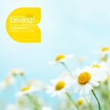 Skiz From The Deepimpression - Tavaszi Bizsergés