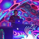 ALL I WANNA DO IS MAKE YOU BOUNCE---PLASTIC VISION