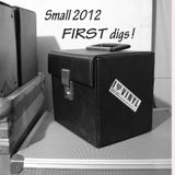 small 2012 first digs