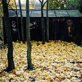 Esimene saade
