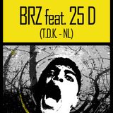 BRZ feat 25D > Live @ Sources and Roots