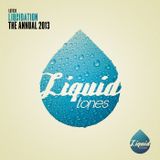 Liquidation The Annual Mixed By Switcherz 2014