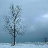 Winter Mix