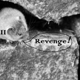 @Mautzefall Gernsheim - Audiocompression Revenge! 22.08.15