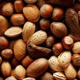MIXED NUTS