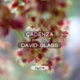 Cadenza Podcast | 210 - David Glass (Cycle)