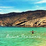 BeachSeason'14