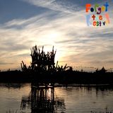 Forget The Restival - Dark Side Of The Sun Mix