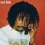 Garnet Silk on Irie Vibes with Glenn Walker Foster