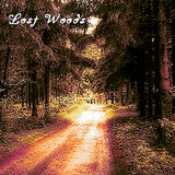 Lost Woods- Dubstep Mix