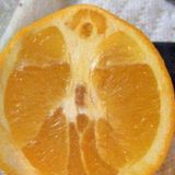 Apophenia: Jesus on a taco