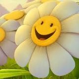 Danyel - Happy Flower