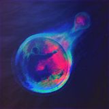 Universal Communique 02|27|16