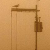 ''kassio fog machine"