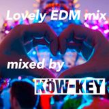 Lovely EDM mix vol.1