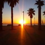 Sunny