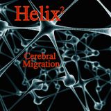 Cerebral Migration